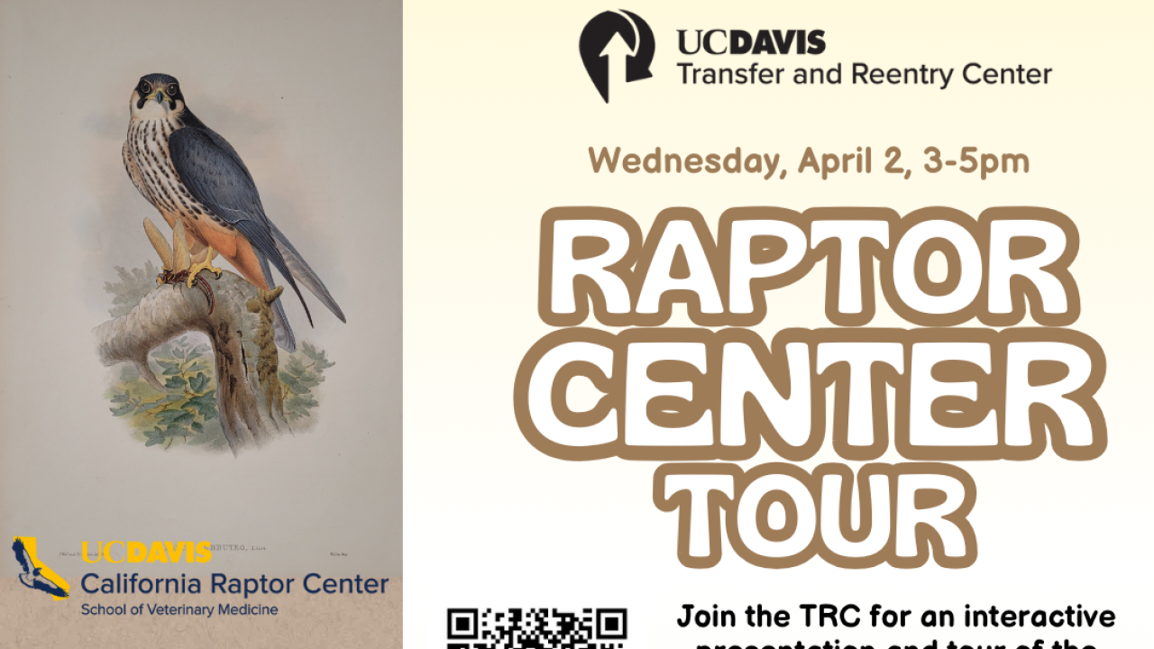 Raptor Center Tour flyer