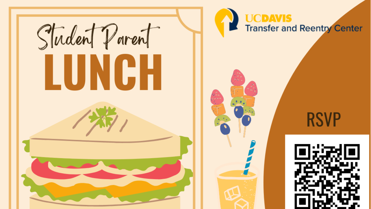 Image of a sandwich, drink, fruit skewers, bowl of peanuts, and placesetting with information about the Student Parent Lunch