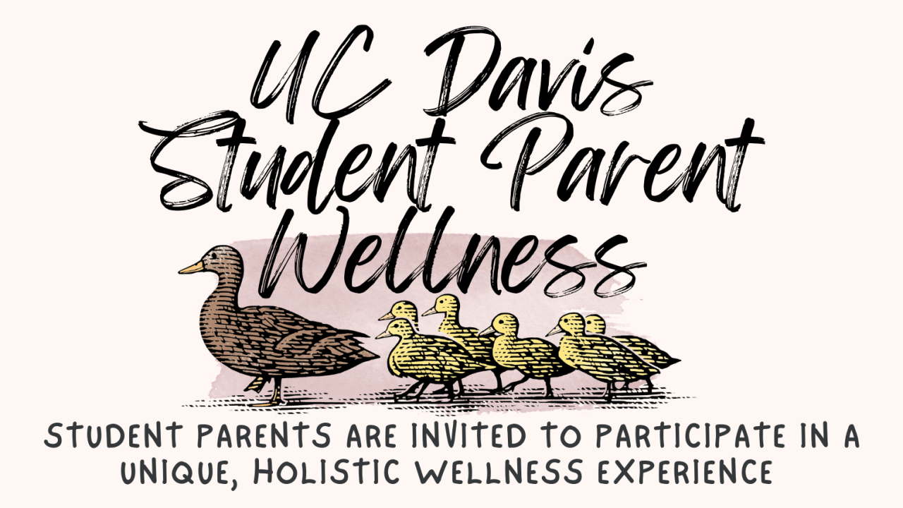 Student Parent Wellness Program flyer