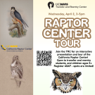 Raptor Center Tour flyer