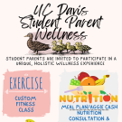 Student Parent Wellness Program flyer